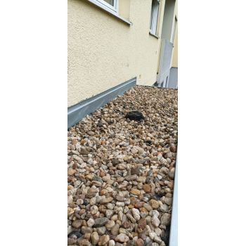 Vordach Steinsack Lörrach
